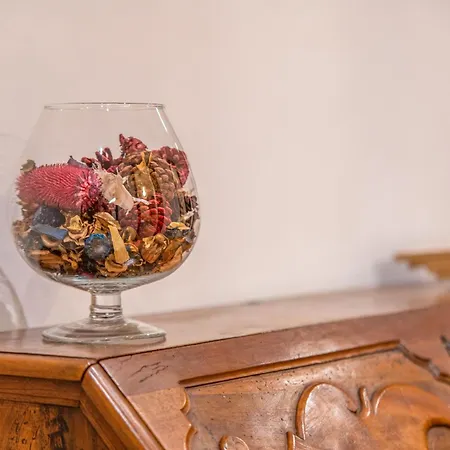 Maison Farini 아파트 *
