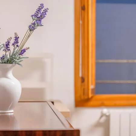 Maison Farini * פירנצה