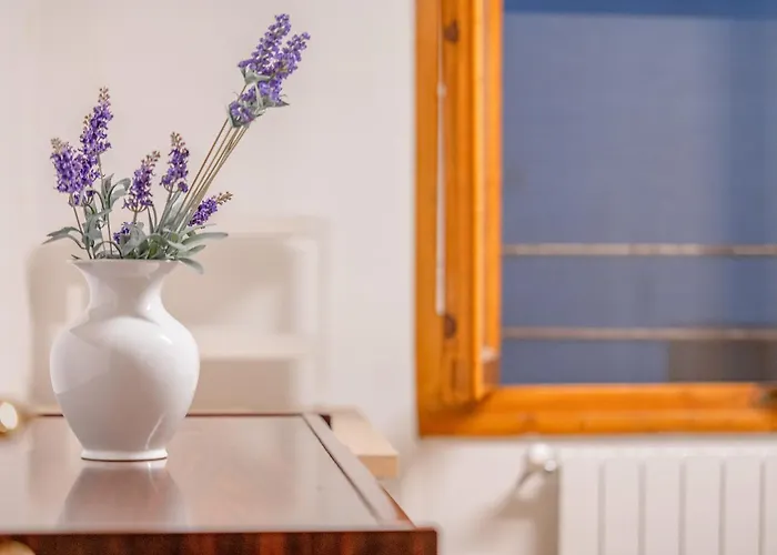 Maison Farini * Firenze